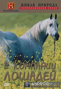Исторические исследования: В компании лошадей / Special presentation: In the Company of Horses