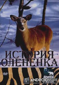 История олененка / The Littlest Reindeer