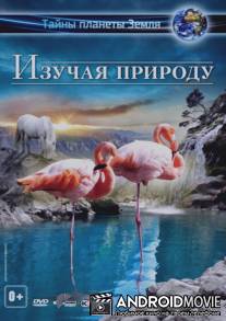 Изучая природу 3D / Experience Nature 3D