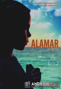 К морю / Alamar