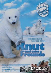 Кнут и его друзья / Knut und seine Freunde