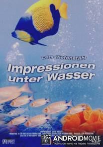 Коралловый рай / Impressionen unter Wasser