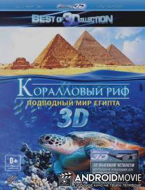 Коралловый риф 3D: Подводный мир Египта / Abenteuer Korallenriff