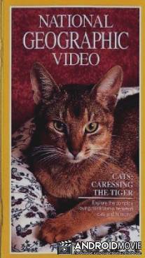 Кошки: Ласковые тигры / Cats: Caressing the Tiger