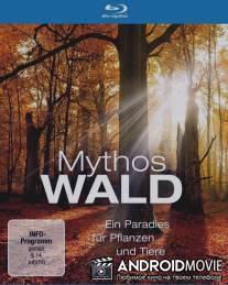 Мифы леса / Mythos Wald
