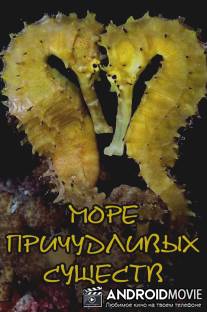 Море причудливых существ / Sea of Creepy Monsters
