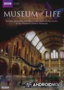 Museum of Life