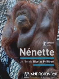 Ненетт / Nenette