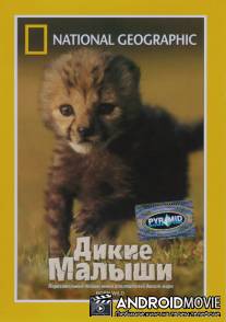 НГО: Дикие малыши / Born Wild