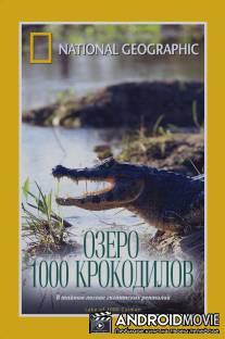 НГО: Озеро 1000 крокодилов / Lake of a Thousand Caiman