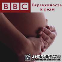 Обыкновенное чудо BBC - Беременность и Роды / BBC: The Human Body