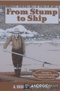 От бревна до корабля / From Stump to Ship