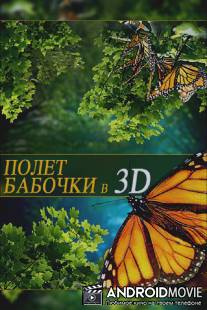 Полет бабочки 3D / Flight of the Monarch Butterfly 3D