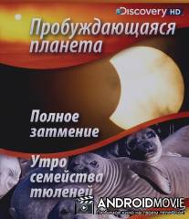 Пробуждающаяся планета / Sunrise Earth