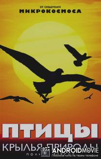 Птицы: Крылья природы / Les ailes de la nature