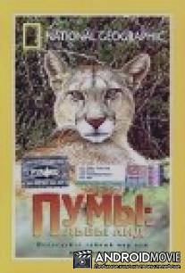 Пумы: Львы Анд / Puma: Lion of the Andes
