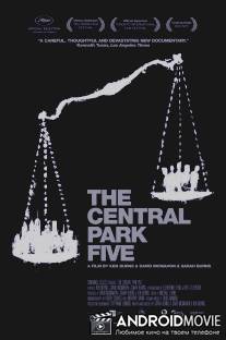 Пятеро из Центрального парка / Central Park Five, The