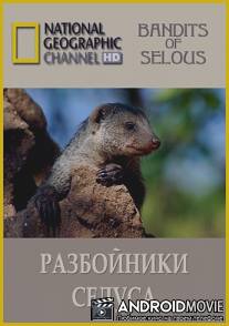 Разбойники Селуса / Bandits of Selous
