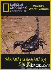 Самый сильный яд в мире / World's Worst Venom