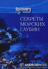 Секреты морских глубин
