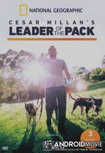 Сесар Миллан: Вожак стаи / Cesar Millan's Leader of the Pack