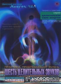 Шесть целительных звуков. Очищение крови и лимфы.