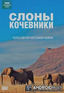 Слоны - кочевники / Elephant Nomads of the Namib Desert