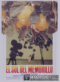 Солнце в листве айвового дерева / El sol del membrillo
