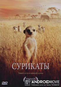 Сурикаты / Meerkats, The