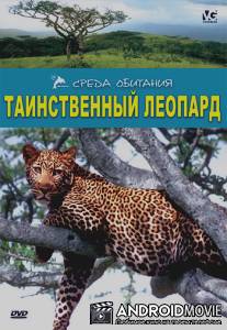 Таинственный леопард / The Secret Leopard