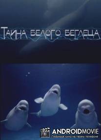 Тайна белого беглеца / Tayna belogo begletsa