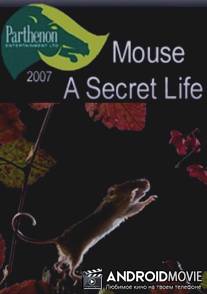 Тайная жизнь мышей / Mouse: A Secret Life
