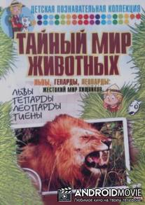 Тайный мир животных: Львы, гепарды, леопарды: жестокий мир хищников