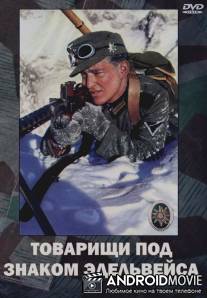 Товарищи под знаком 'Эдельвейса' / Kamaraden unterm Edelweis