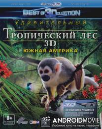 Тропический лес 3D / Rainforest 3D