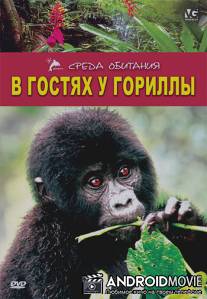 В гостях у гориллы / Gorilla Gorilla