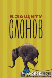 В защиту слонов / An Apology to Elephants
