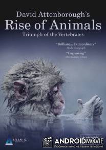 Восстание животных: Триумф позвоночных / Rise of Animals: Triumph of the Vertebrates