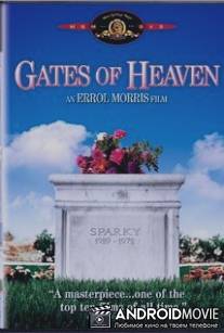 Врата небес / Gates of Heaven
