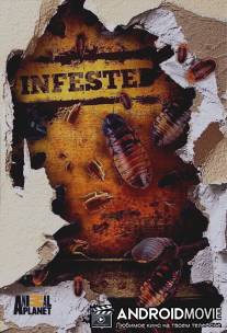 Вторжение паразитов / Infested!