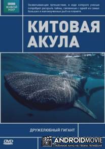 ВВС: Живой мир. Китовая акула / BBC: Natural World. Whale Shark