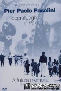 Выбор натуры в Палестине для 'Евангелия от Матфея' / Sopralluoghi in Palestina per il vangelo secondo Matteo