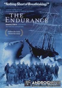 Выносливость: Легендарная антарктическая экспедиция Шеклтона / Endurance: Shackleton's Legendary Antarctic Expedition, The