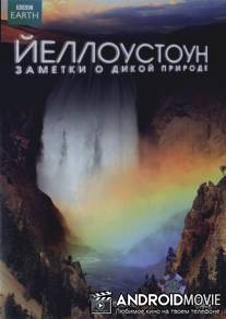 Йеллоустоун: Заметки о дикой природе / Yellowstone