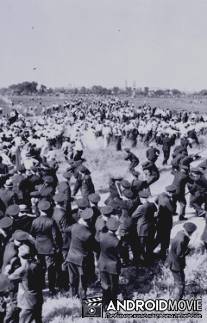 Забастовки рабочих-сталелитейщиков / Republic Steel Strike Riots Newsreel Footage