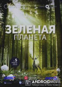 Зеленая планета / Das grune Wunder - Unser Wald