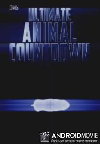 Животные-рекордсмены: Смертоносное оружие / Ultimate Animal: deadly weapon