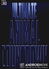 Животные-рекордсмены: Стаи / Ultimate Animal: flocks