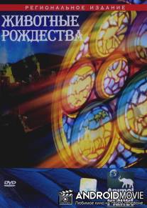 Животные Рождества / Animals of the Nativity