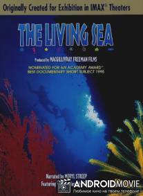 Живой океан / Living Sea, The